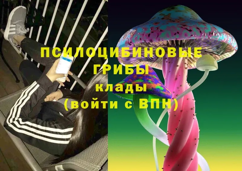 omg ссылка  Ангарск  Галлюциногенные грибы Cubensis 